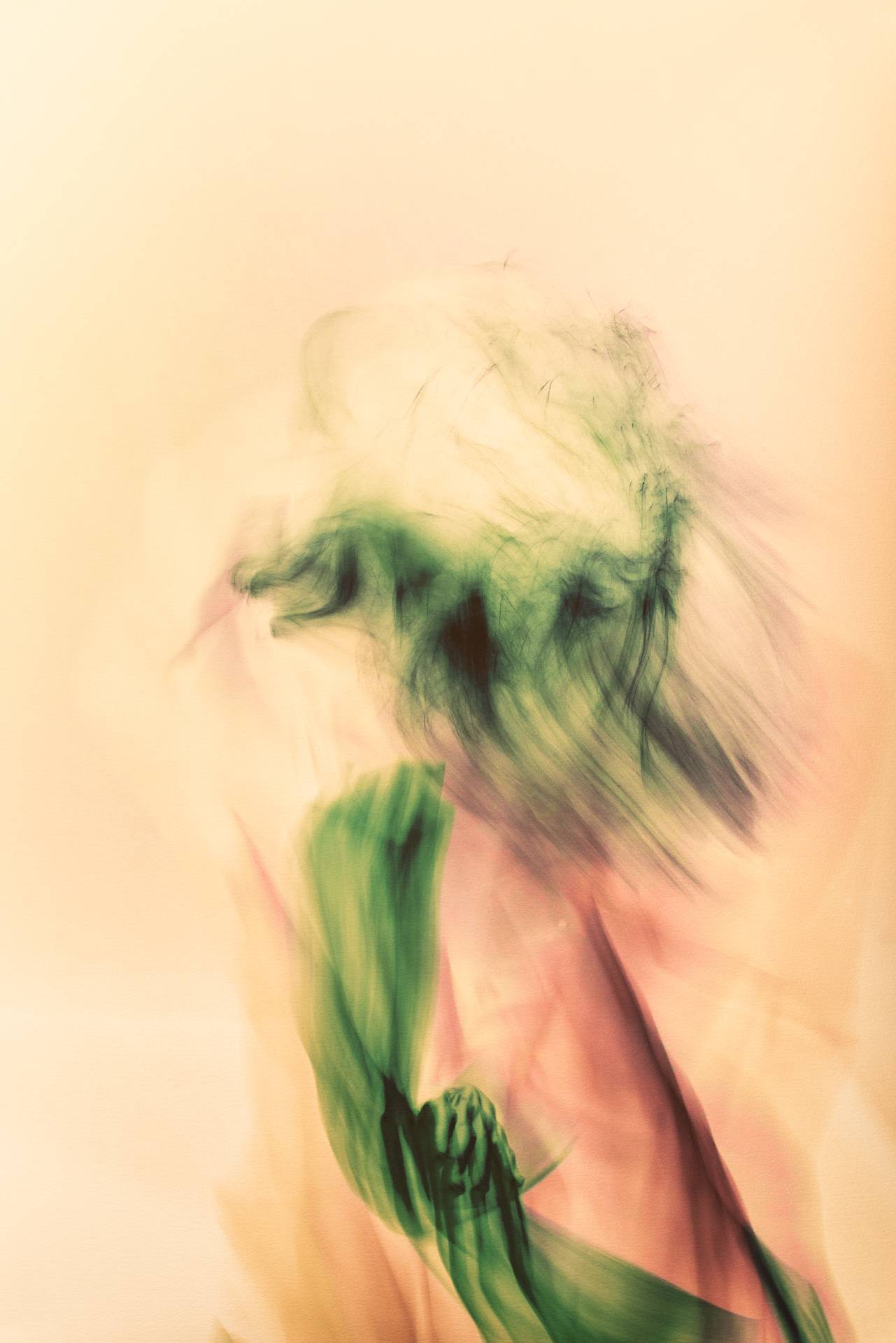 Trait dansé, détail