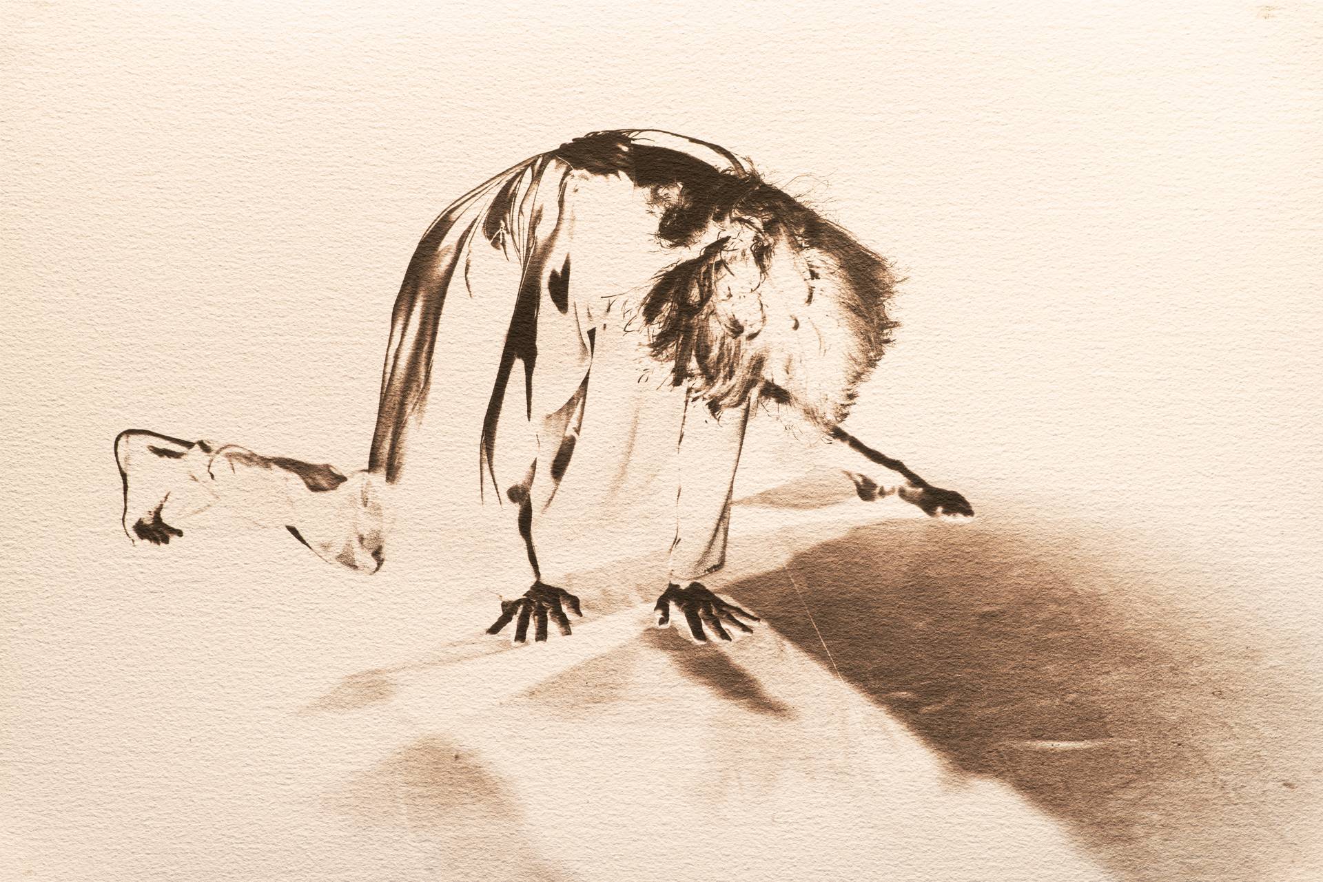 Trait dansé, détail